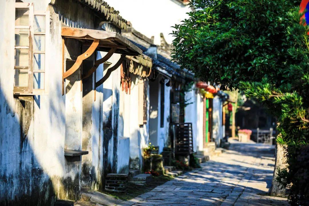 火影战国夜袭