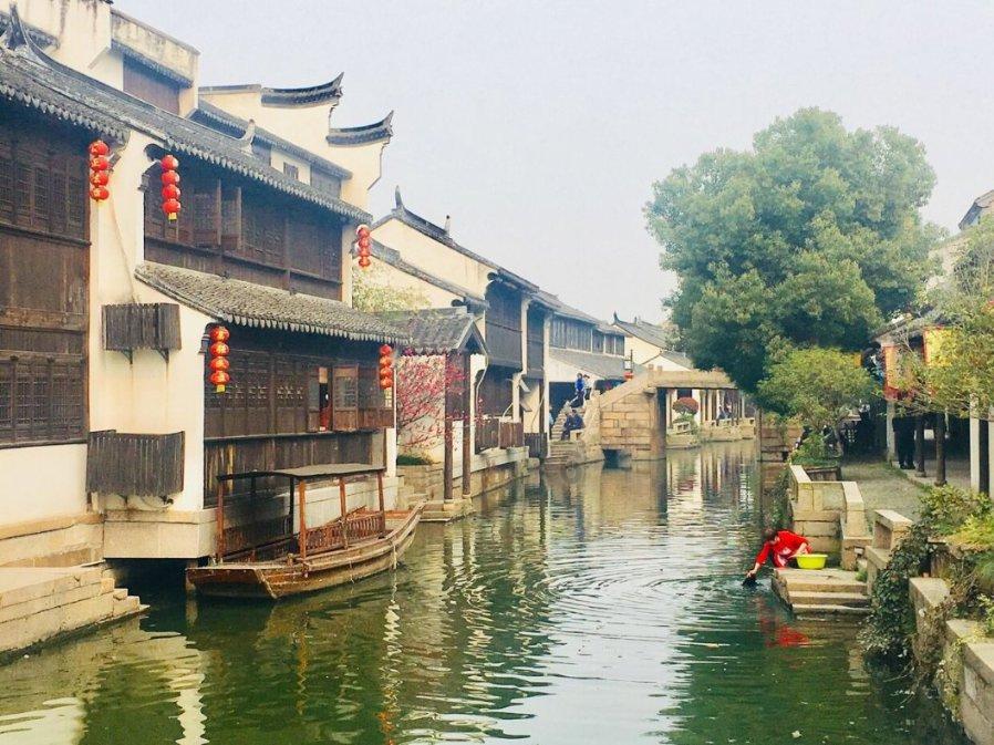 2024属猪的运势怎么样